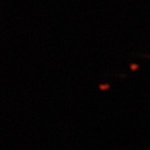 Meet your Posher, Eduardo